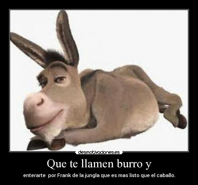 Que te llamen burro y - enterarte por Frank de la jungla que es mas listo que el caballo.