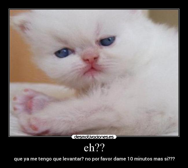 eh?? - que ya me tengo que levantar? no por favor dame 10 minutos mas si???