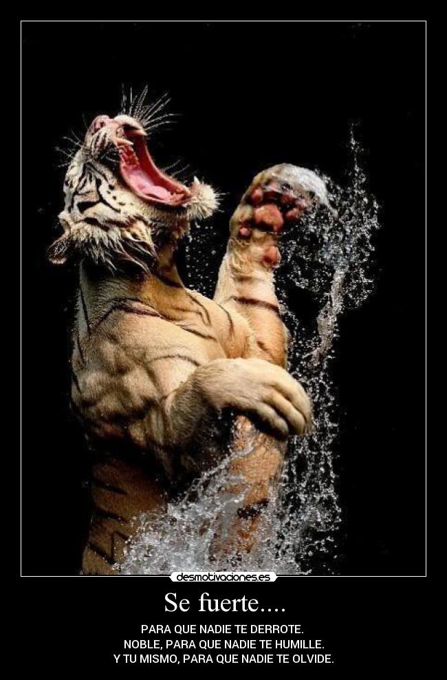 Se fuerte.... - PARA QUE NADIE TE DERROTE.
NOBLE, PARA QUE NADIE TE HUMILLE.
Y TU MISMO, PARA QUE NADIE TE OLVIDE.