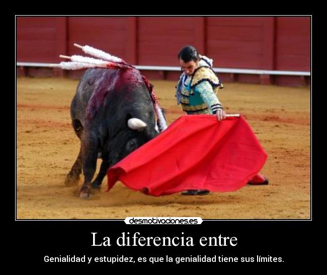 carteles einstein arte cultura toreros hdp diferencia entre genialidad estupidez desmotivaciones