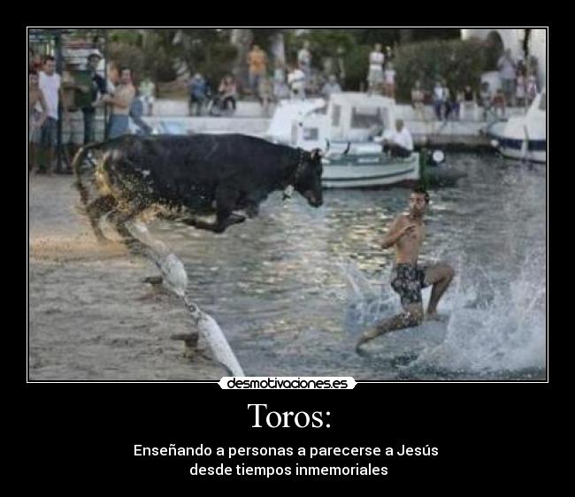 Toros: - 