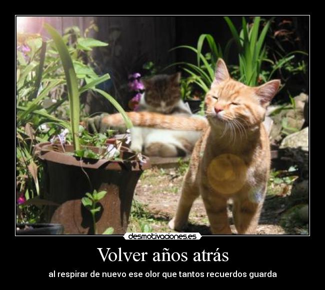 Volver años atrás -