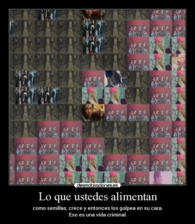 Lo que ustedes alimentan - como semillas, crece y entonces los golpea en su cara.
Eso es una vida criminal.