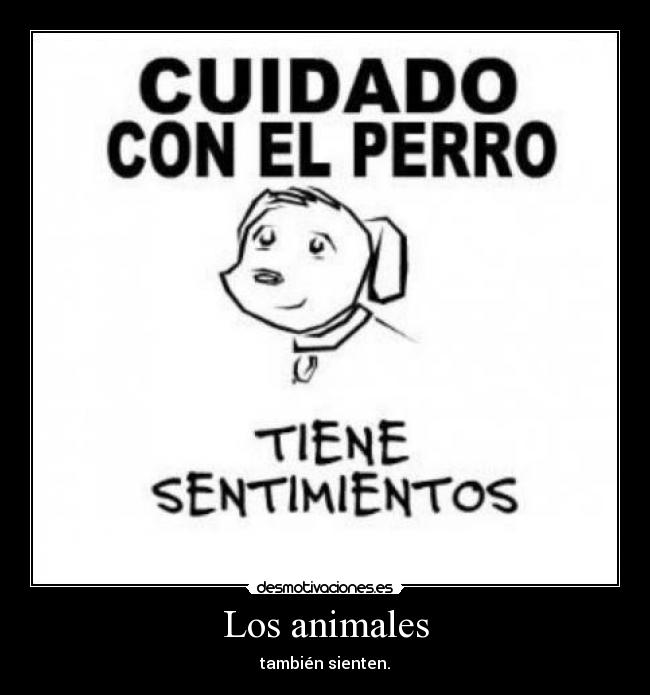 Los animales - también sienten.