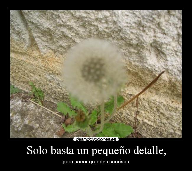 Solo basta un pequeño detalle, - para sacar grandes sonrisas.