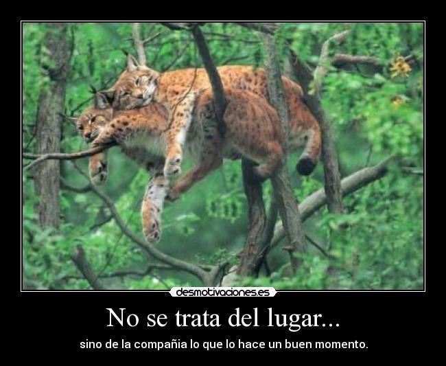 No se trata del lugar... - 