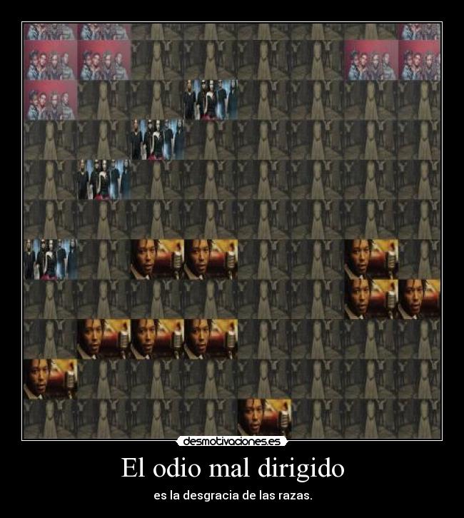 El odio mal dirigido - es la desgracia de las razas.