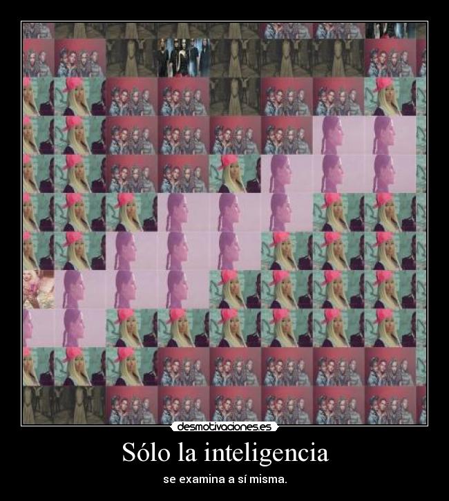 Sólo la inteligencia - se examina a sí misma.