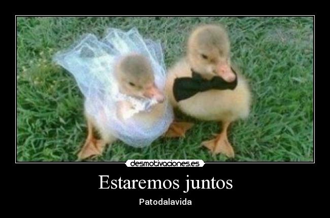 carteles murloc desmotivaciones