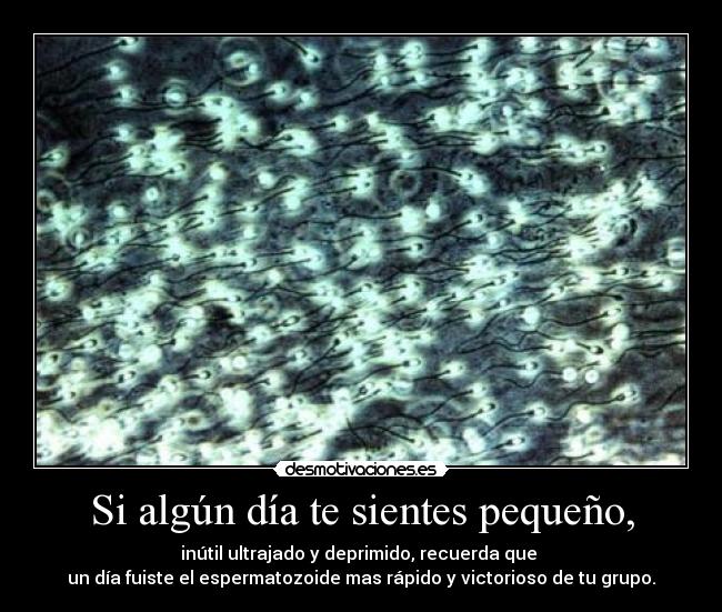 Si algún día te sientes pequeño, - inútil ultrajado y deprimido, recuerda que 
un día fuiste el espermatozoide mas rápido y victorioso de tu grupo.