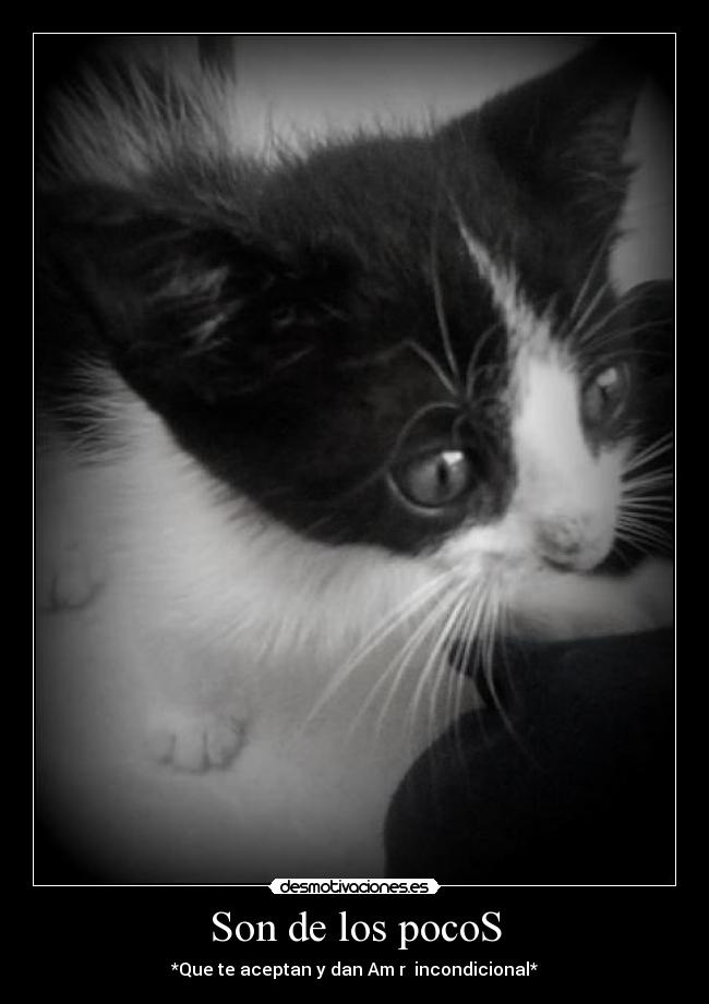 Son de los pocoS -