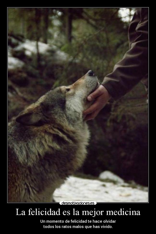 La felicidad es la mejor medicina - 