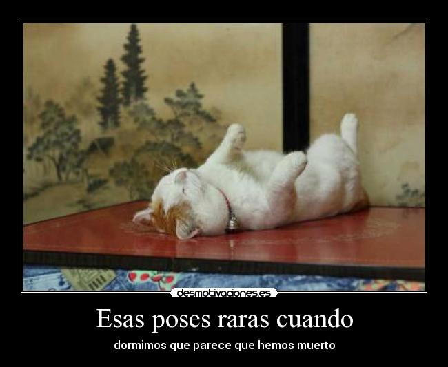 Esas poses raras cuando -