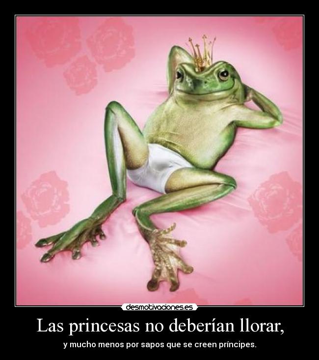 Las princesas no deberían llorar, -