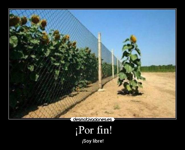 carteles correeeeee desmotivaciones