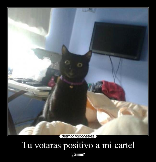 Tu votaras positivo a mi cartel - ¿Siiiiiii?