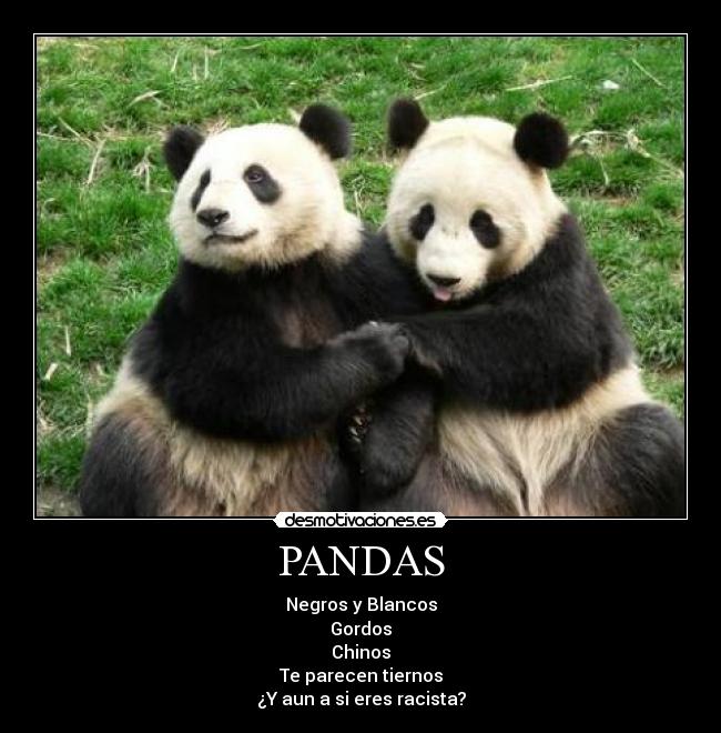 PANDAS - Negros y Blancos
Gordos
Chinos
Te parecen tiernos
¿Y aun a si eres racista?