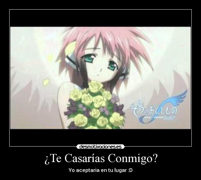 ¿Te Casarías Conmigo? - Yo aceptaria en tu lugar :D