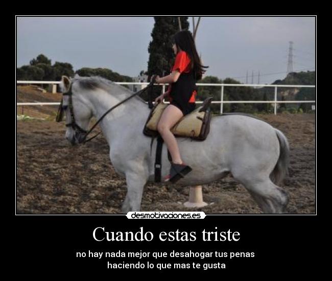 carteles caballos desmotivaciones