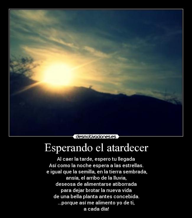 Esperando el atardecer - Al caer la tarde, espero tu llegada
Así como la noche espera a las estrellas.
 e igual que la semilla, en la tierra sembrada,
ansía, el arribo de la lluvia,
deseosa de alimentarse atiborrada
para dejar brotar la nueva vida
de una bella planta antes concebida.
...porque así me alimento yo de ti,
a cada día!