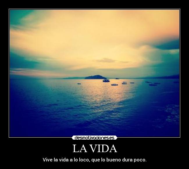 LA VIDA - Vive la vida a lo loco, que lo bueno dura poco.