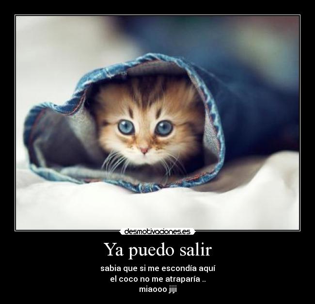 Ya puedo salir -