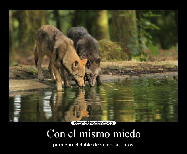 Con el mismo miedo - pero con el doble de valentía juntos.