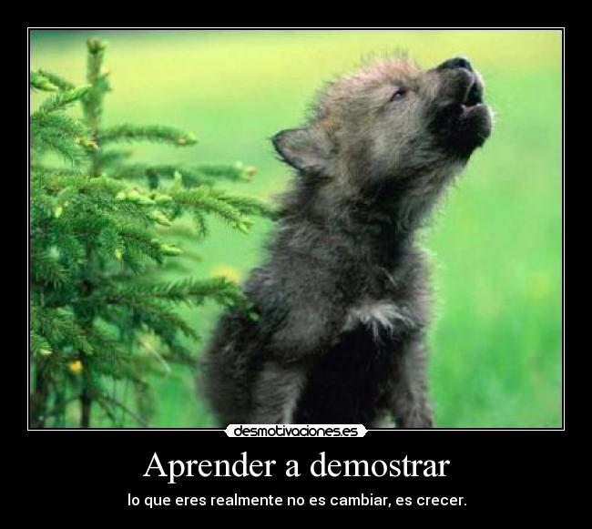 Aprender a demostrar - lo que eres realmente no es cambiar, es crecer.