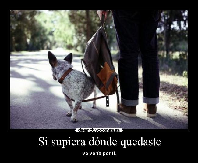 Si supiera dónde quedaste - volvería por ti.