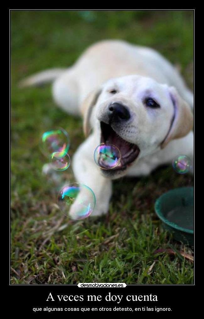 A veces me doy cuenta - que algunas cosas que en otros detesto, en ti las ignoro.