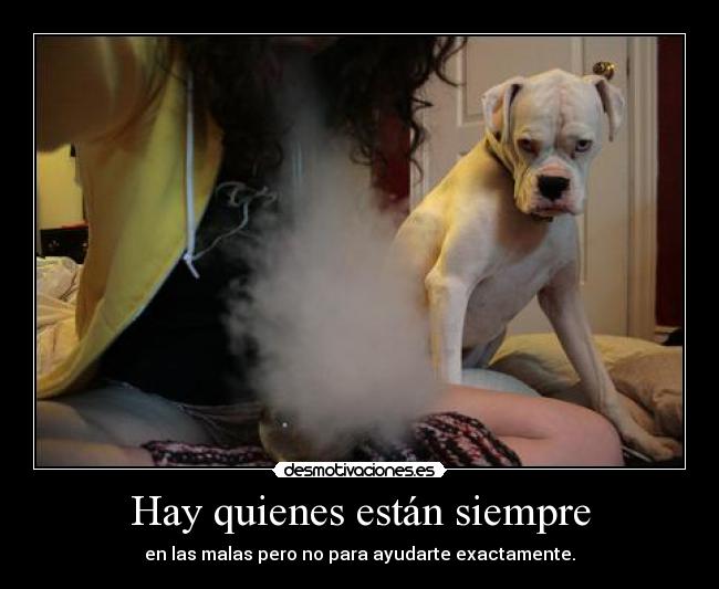 Hay quienes están siempre - en las malas pero no para ayudarte exactamente.