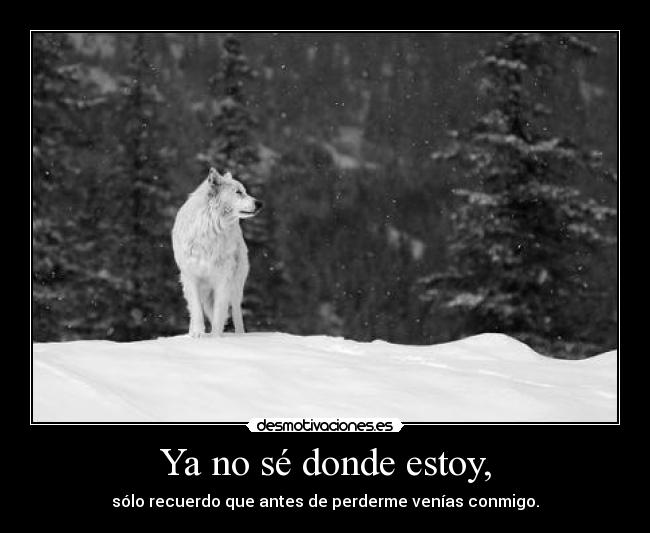 Ya no sé donde estoy, - sólo recuerdo que antes de perderme venías conmigo.