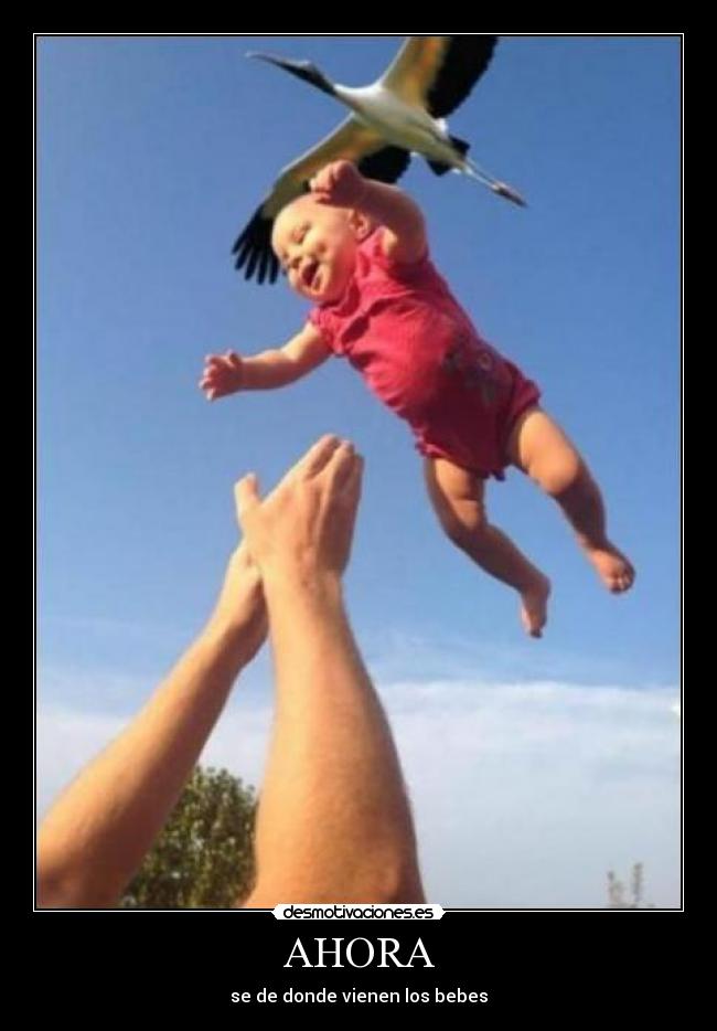 AHORA - se de donde vienen los bebes