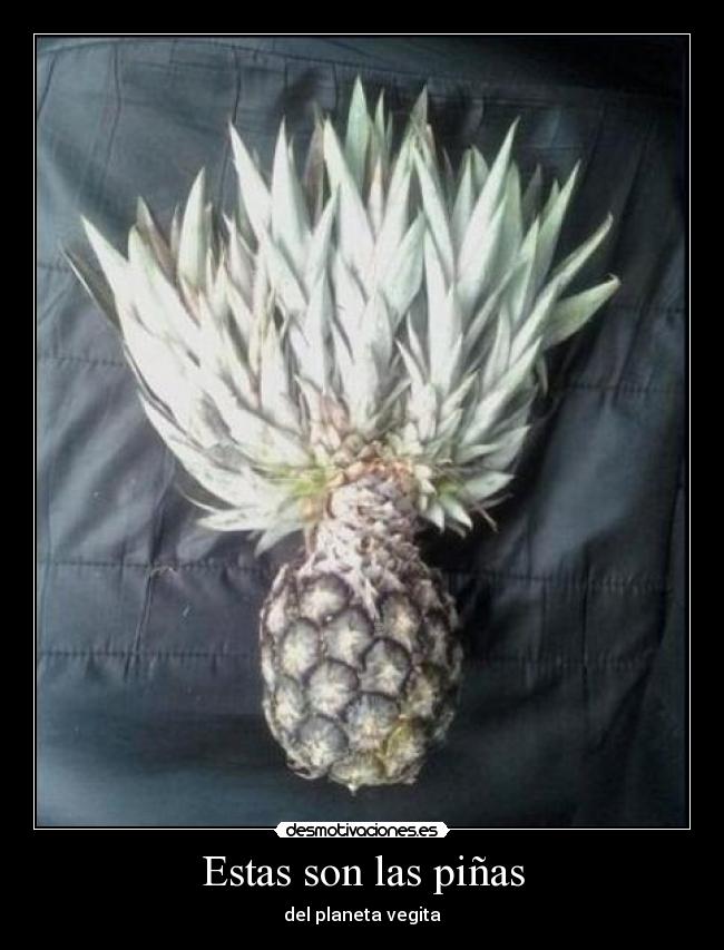 carteles osea donde nacio goku desmotivaciones