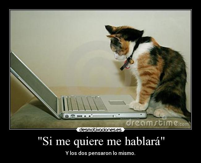 Si me quiere me hablará - Y los dos pensaron lo mismo.