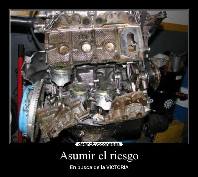Asumir el riesgo - En busca de la VICTORIA
