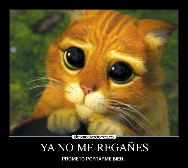 YA NO ME REGAÑES - PROMETO PORTARME BIEN...