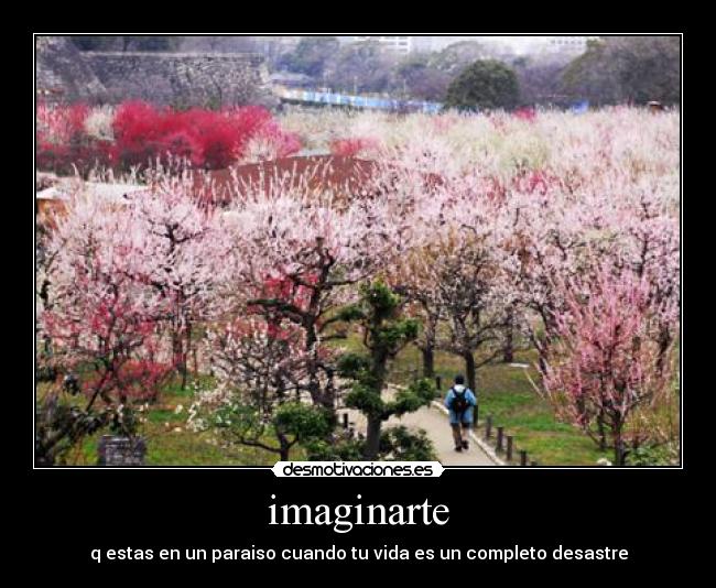 imaginarte - q estas en un paraiso cuando tu vida es un completo desastre