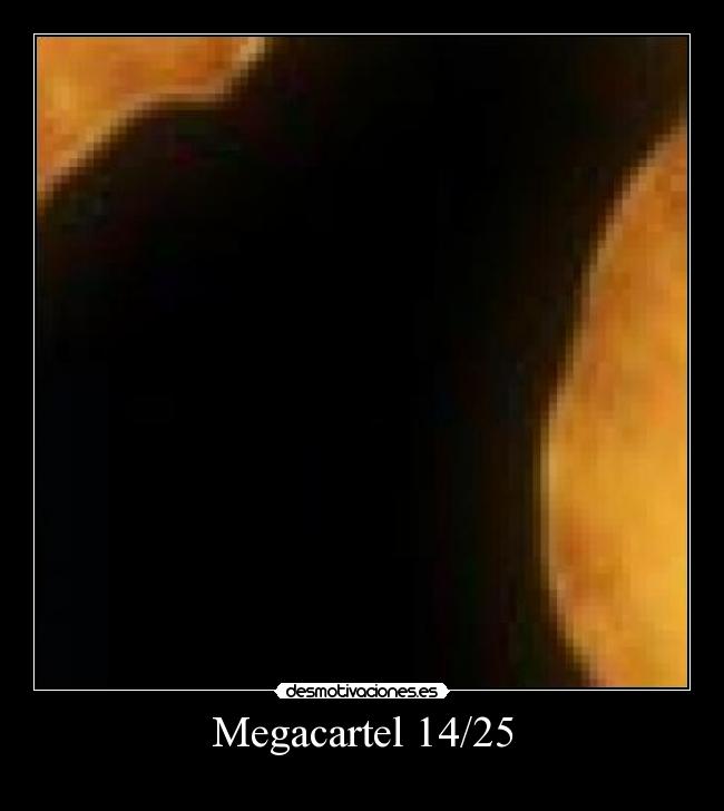 Megacartel 14/25 -