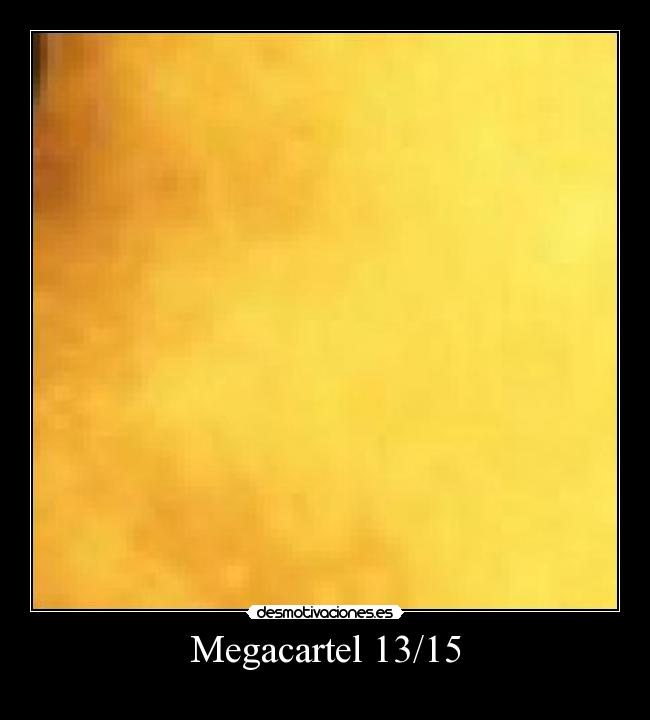 Megacartel 13/15 -