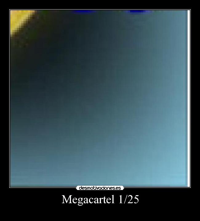 Megacartel 1/25 -