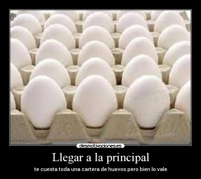 Llegar a la principal - te cuesta toda una cartera de huevos pero bien lo vale