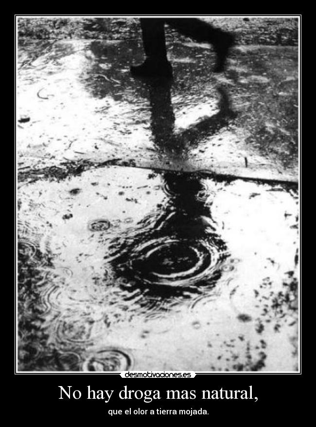 No hay droga mas natural, - que el olor a tierra mojada.