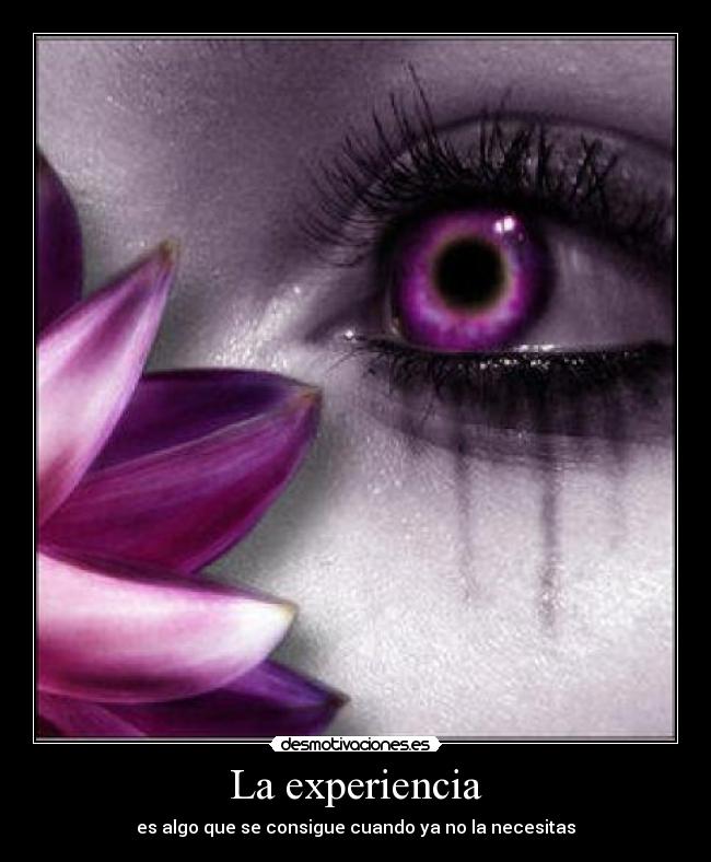 La experiencia - 
