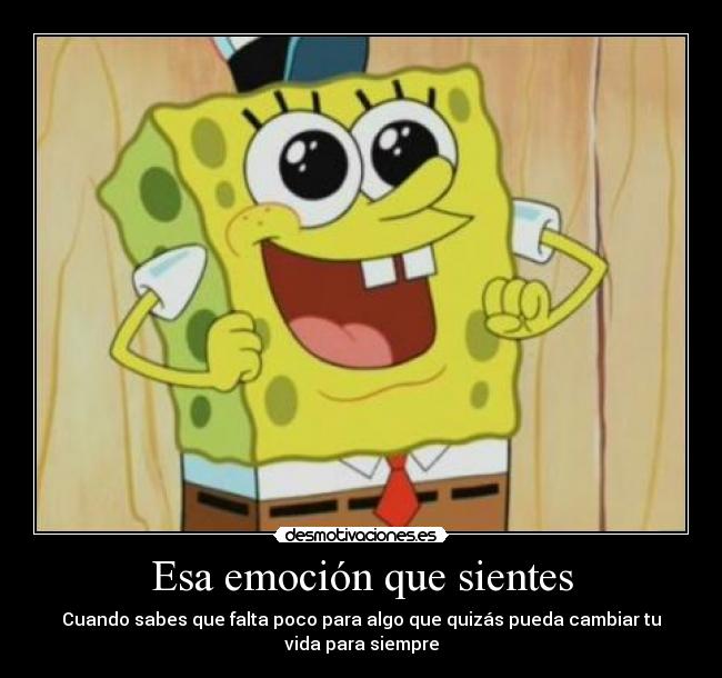 Esa emoción que sientes -