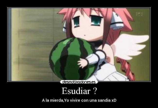 Esudiar ? - A la mierda,Yo vivire con una sandia xD