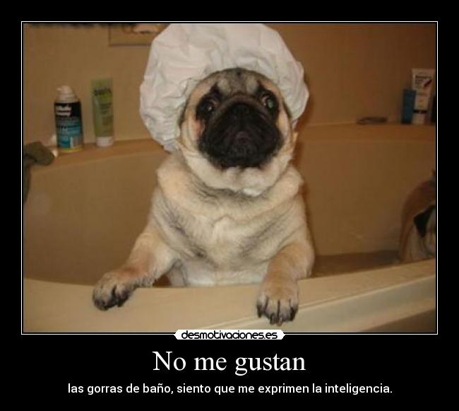 No me gustan - las gorras de baño, siento que me exprimen la inteligencia.