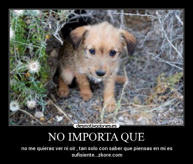 NO IMPORTA QUE - no me quieras ver ni oír , tan solo con saber que piensas en mi es
sufisiente...zkore.com