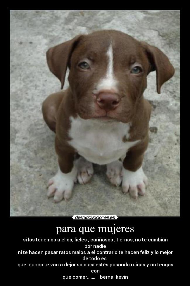 para que mujeres - si los tenemos a ellos, fieles , cariñosos , tiernos, no te cambian por nadie
ni te hacen pasar ratos malos a el contrario te hacen feliz y lo mejor de todo es
que nunca te van a dejar solo así estés pasando ruinas y no tengas con
que comer....... bernal kevin