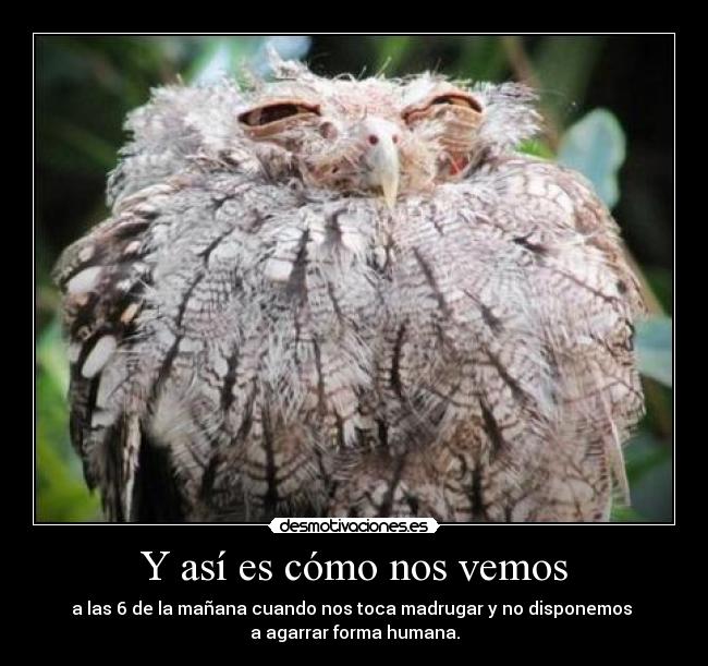 Y así es cómo nos vemos -